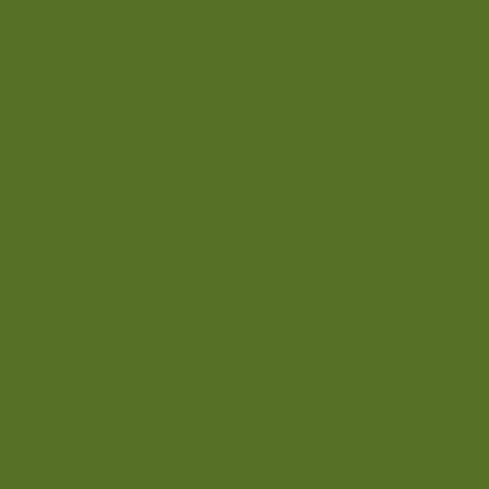 Paintbrush Studio – Painter’s Palette Solids – Pickle Solid 62 Square (Sold in ½-yard increments)