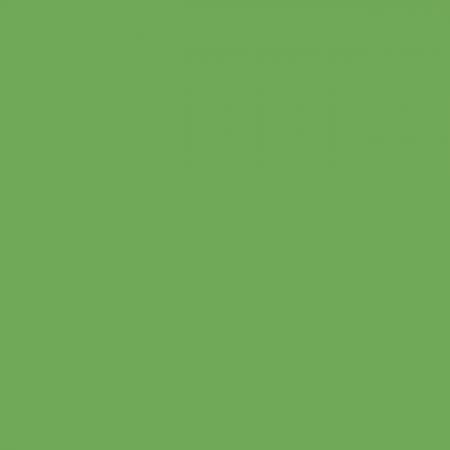 Riley Blake Designs – Confetti Cottons – Riley Green (Sold in ½-yard increments)